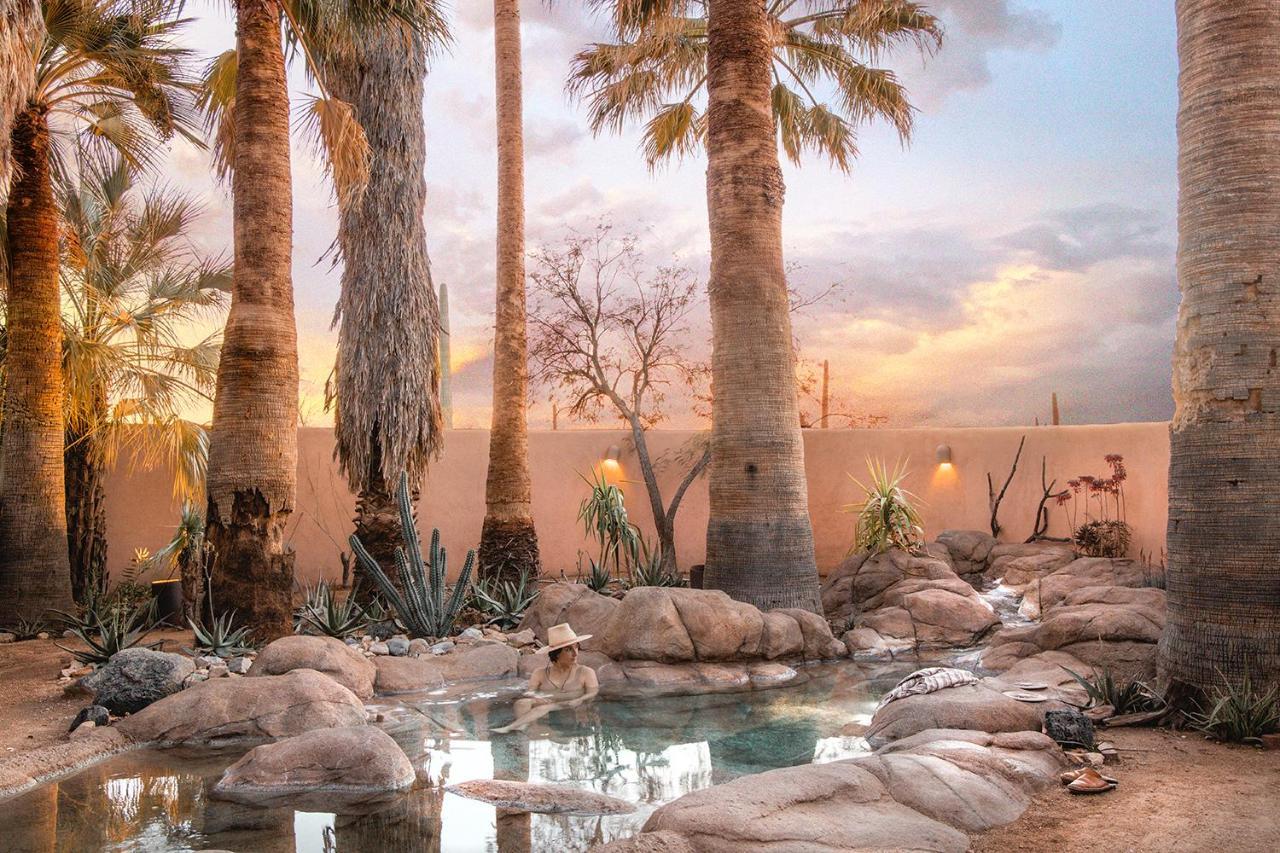 Hotel The Jth Tucson Avra Zewnętrze zdjęcie